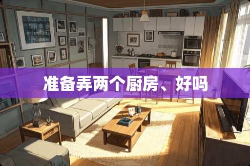 准备弄两个厨房、好吗