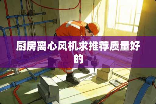 厨房离心风机求推荐质量好的