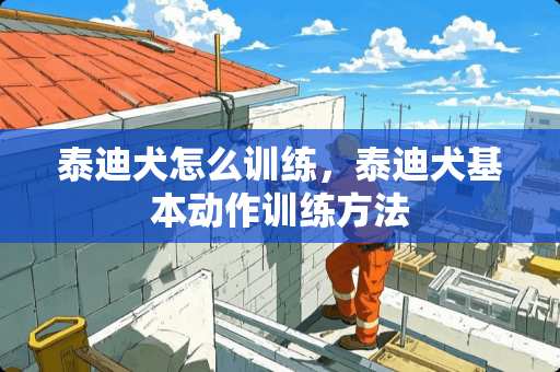 泰迪犬怎么训练，泰迪犬基本动作训练方法