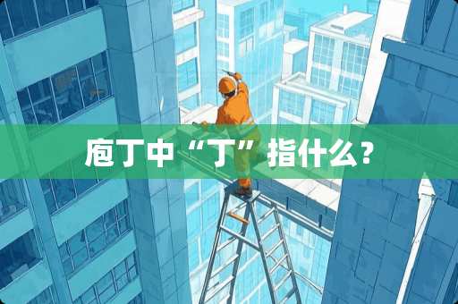 庖丁中“丁”指什么？