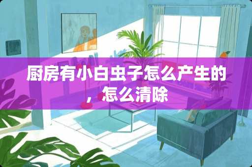 厨房有小白虫子怎么产生的，怎么清除