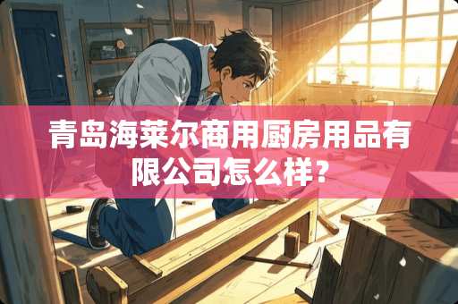 青岛海莱尔商用厨房用品有限公司怎么样？