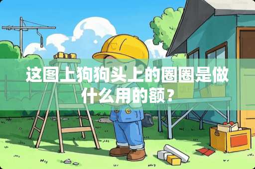 这图上狗狗头上的圈圈是做什么用的额？