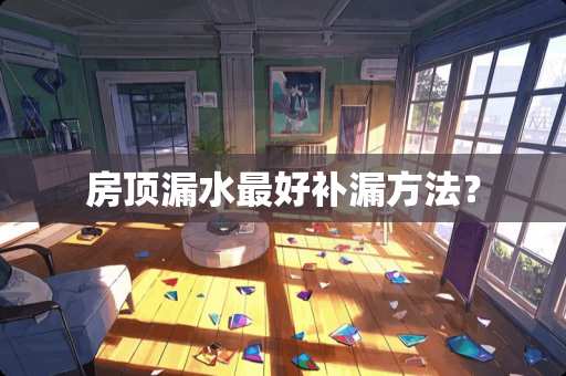房顶漏水最好补漏方法？