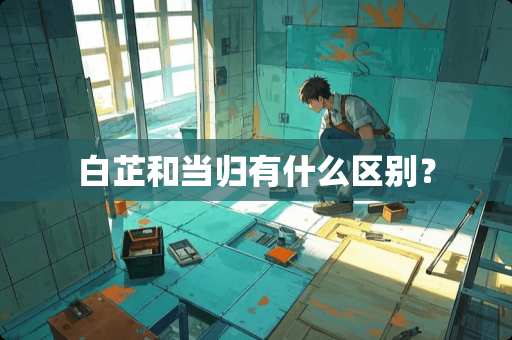 白芷和当归有什么区别？