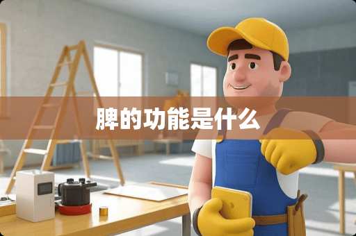 脾的功能是什么