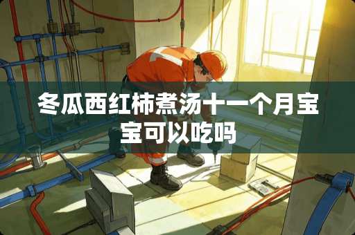 冬瓜西红柿煮汤十一个月宝宝可以吃吗