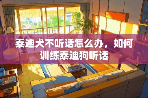 泰迪犬不听话怎么办，如何训练泰迪狗听话