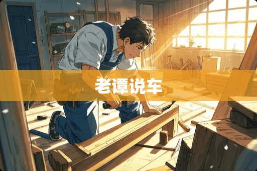 老谭说车