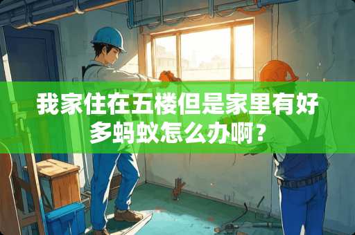 我家住在五楼但是家里有好多蚂蚁怎么办啊？