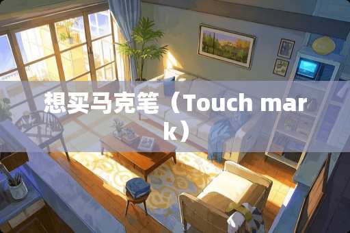 想买马克笔（Touch mark）