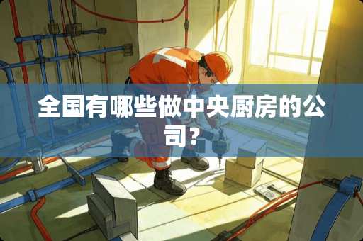 全国有哪些做中央厨房的公司？