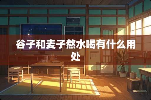 谷子和麦子熬水喝有什么用处