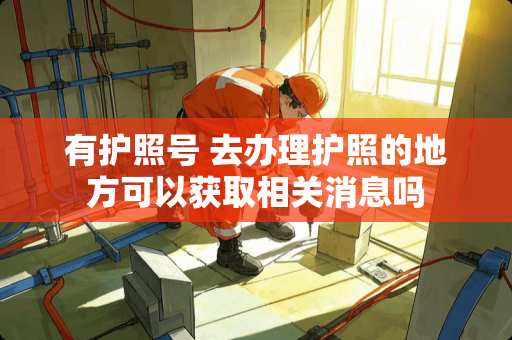 有护照号 去办理护照的地方可以获取相关消息吗