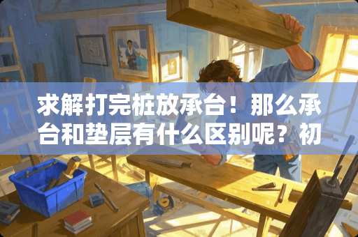 求解打完桩放承台！那么承台和垫层有什么区别呢？初学者！谢谢