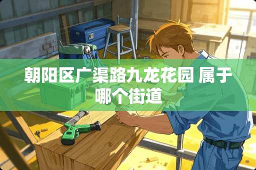 朝阳区广渠路九龙花园 属于哪个街道