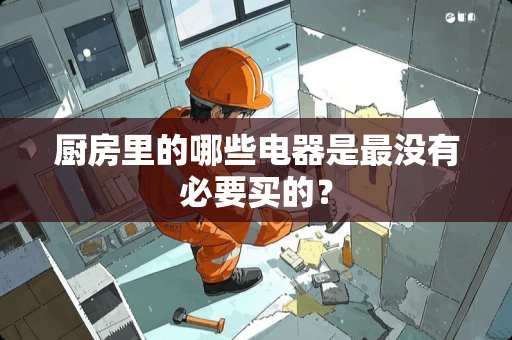 厨房里的哪些电器是最没有必要买的？