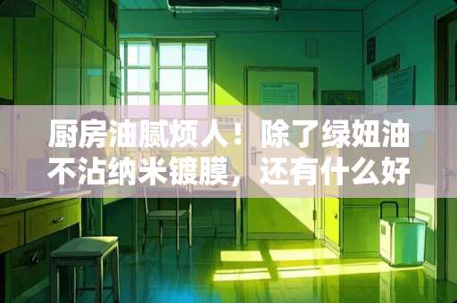 厨房油腻烦人！除了绿妞油不沾纳米镀膜，还有什么好的办法防厨房油腻、去除厨房油污？