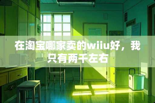 在淘宝哪家卖的wiiu好，我只有两千左右