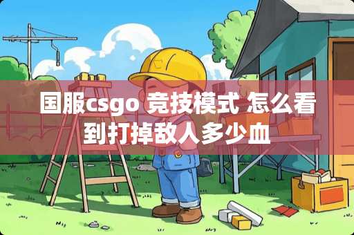 国服csgo 竞技模式 怎么看到打掉敌人多少血
