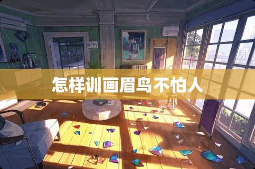 怎样训画眉鸟不怕人