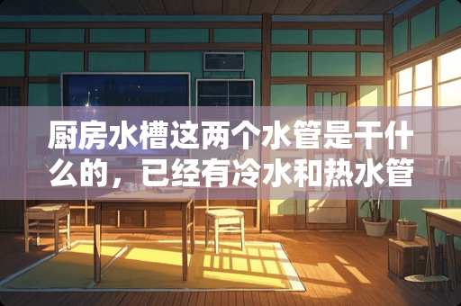 厨房水槽这两个水管是干什么的，已经有冷水和热水管