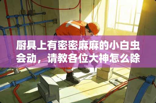 厨具上有密密麻麻的小白虫会动，请教各位大神怎么除掉