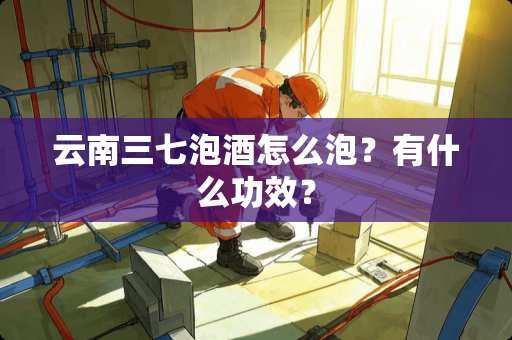 云南三七泡酒怎么泡？有什么功效？