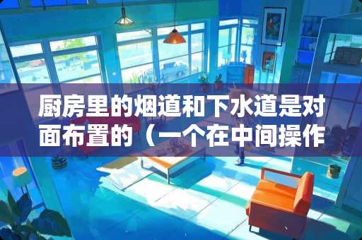 厨房里的烟道和下水道是对面布置的（一个在中间操作面的东边，一个在西边）