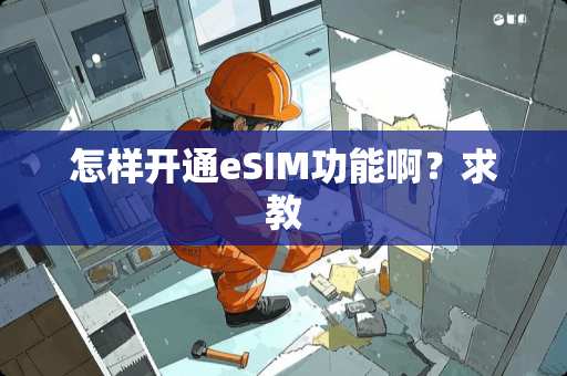 怎样开通eSIM功能啊？求教