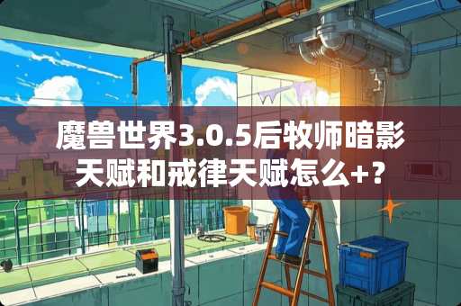 魔兽世界3.0.5后牧师暗影天赋和戒律天赋怎么+？