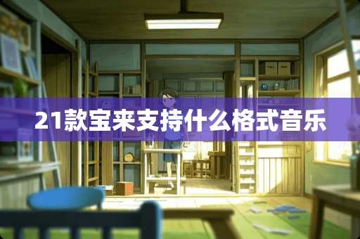 21款宝来支持什么格式音乐