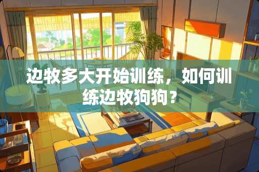 边牧多大开始训练，如何训练边牧狗狗？