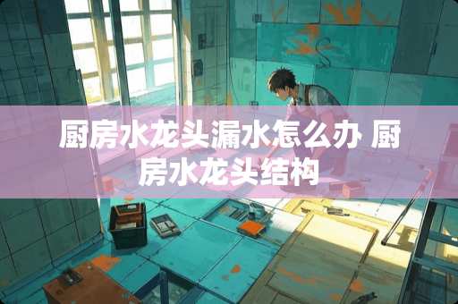 厨房水龙头漏水怎么办 厨房水龙头结构