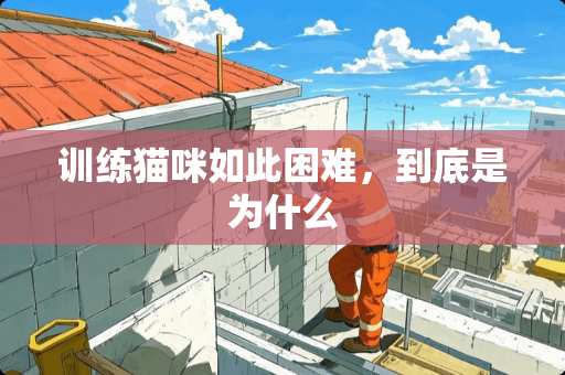 训练猫咪如此困难，到底是为什么