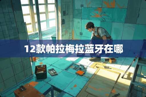 12款帕拉梅拉蓝牙在哪