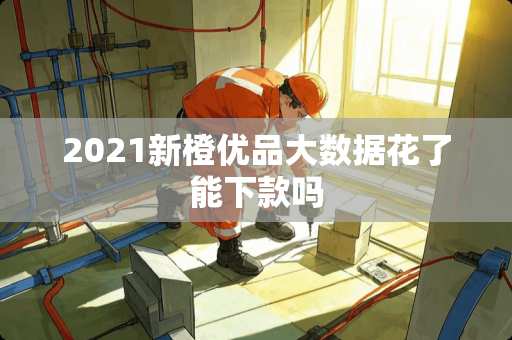 2021新橙优品大数据花了能下款吗