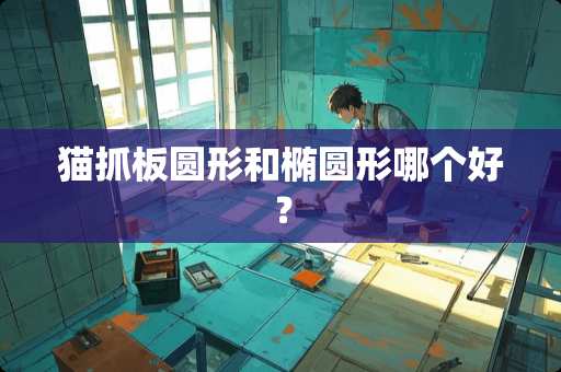 猫抓板圆形和椭圆形哪个好？