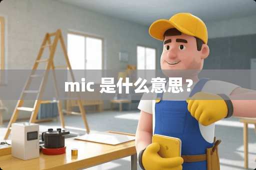 mic 是什么意思？