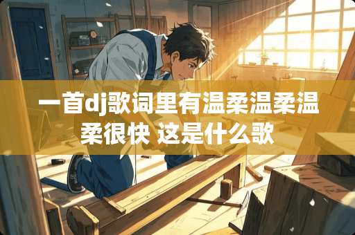 一首dj歌词里有温柔温柔温柔很快 这是什么歌