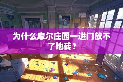 为什么摩尔庄园一进门放不了地砖？