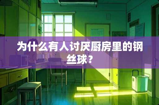 为什么有人讨厌厨房里的钢丝球？