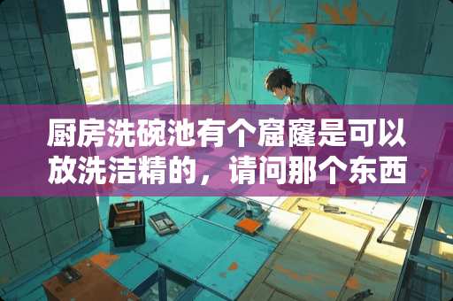 厨房洗碗池有个窟窿是可以放洗洁精的，请问那个东西叫什么名字？