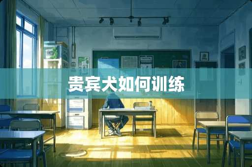 贵宾犬如何训练