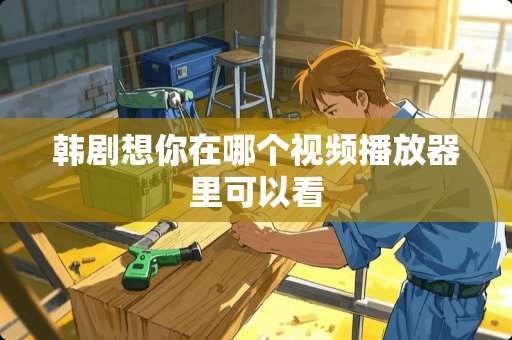 韩剧想你在哪个视频播放器里可以看