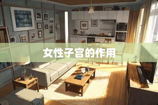 女性子宫的作用