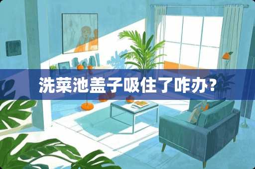 洗菜池盖子吸住了咋办？