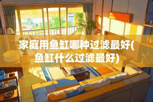 家庭用鱼缸哪种过滤最好(鱼缸什么过滤最好)