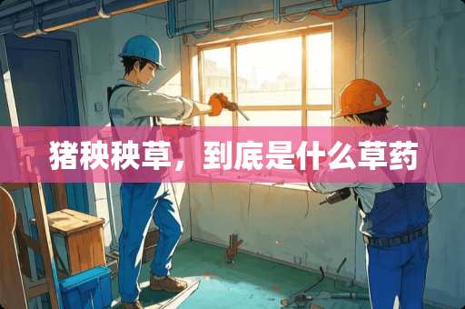 猪秧秧草，到底是什么草药