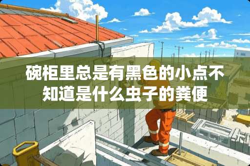 碗柜里总是有黑色的小点不知道是什么虫子的粪便